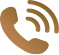 phone icon